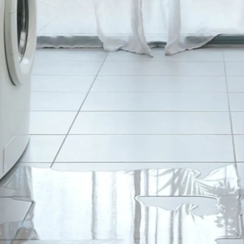 Appliance Leak Cleanup in Mount Carmel, TN