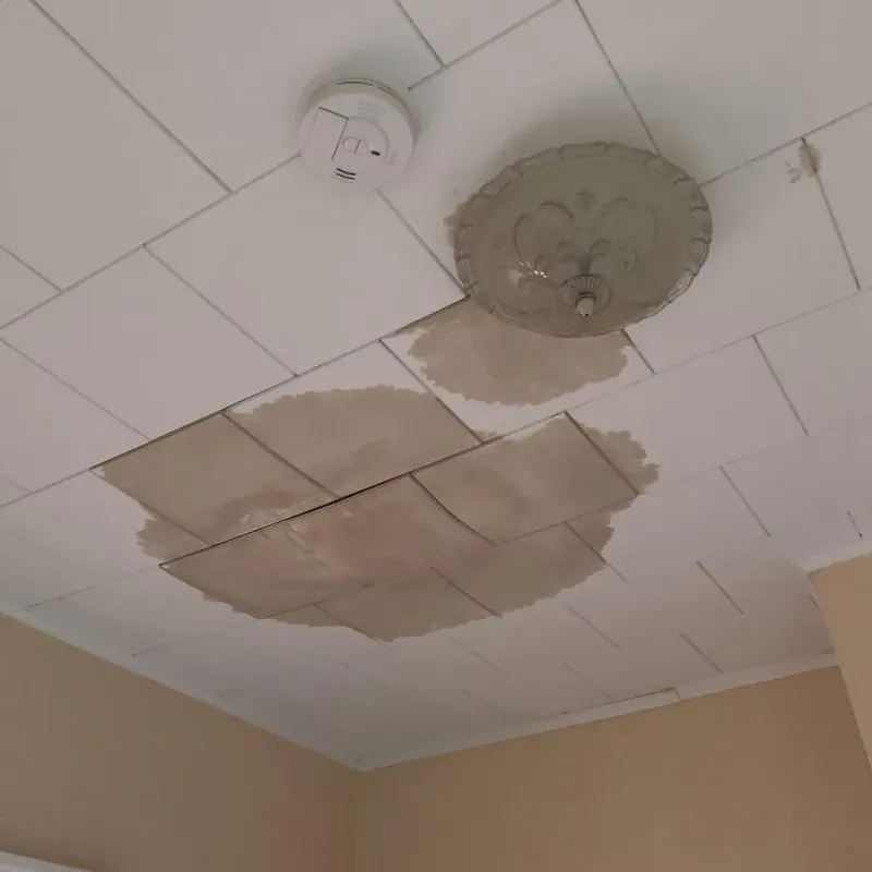 Ceiling Water Damage Repair in Mount Carmel, TN