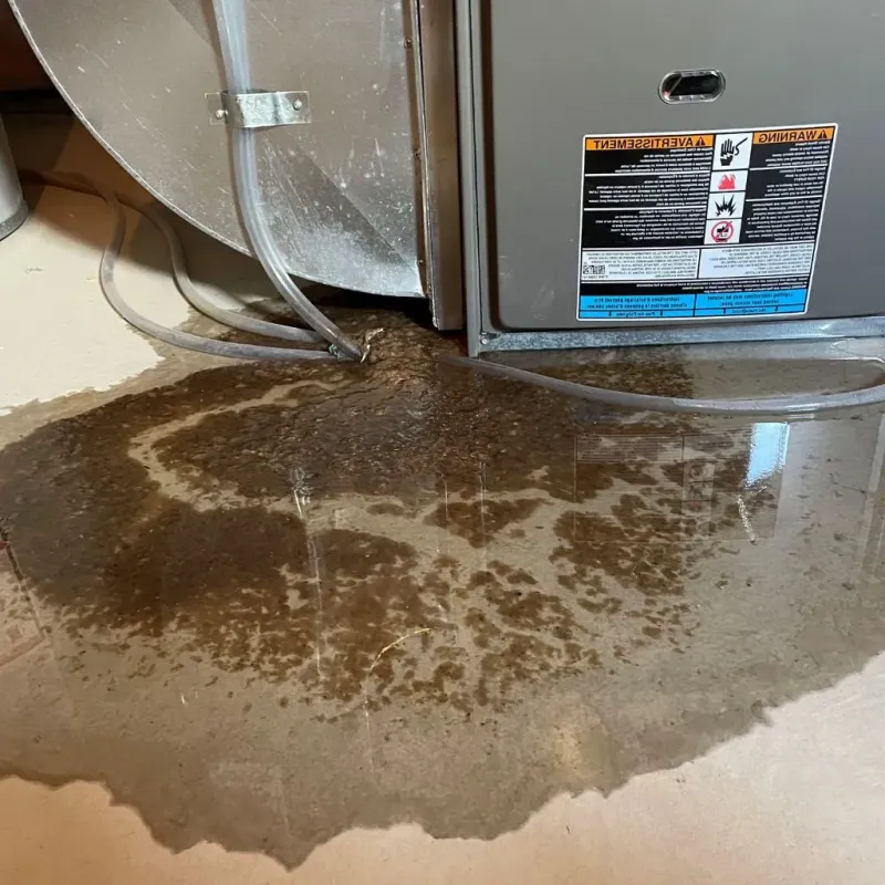 Pipe Burst and Leak Restoration in Mount Carmel, TN