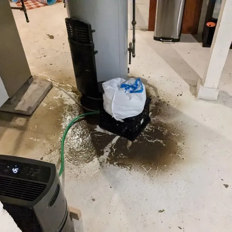 Sewage Backup Cleanup Service in Mount Carmel, TN